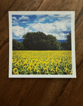 Swiss Sunflower Fields
