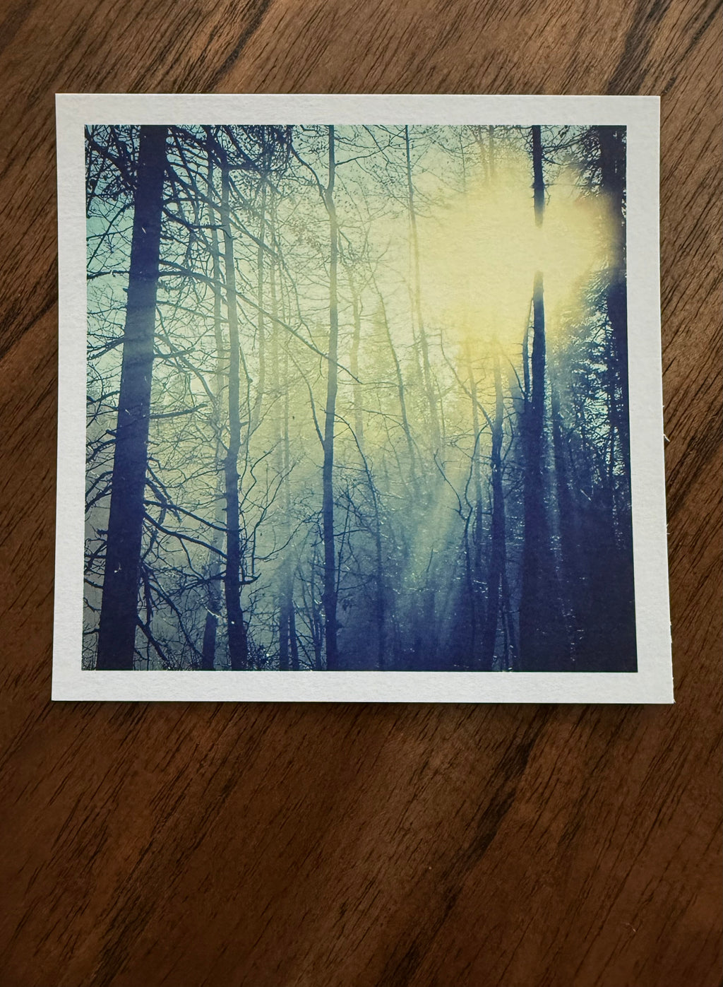 Just Before Dusk