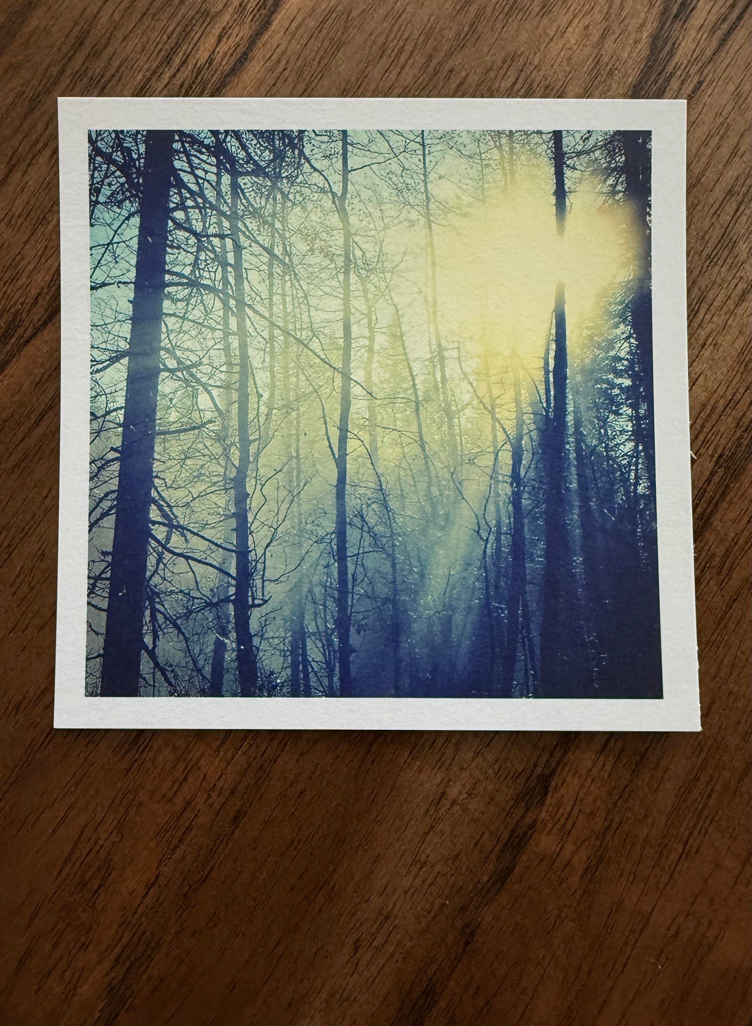 Just Before Dusk