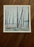 Wildfire Meets Winter