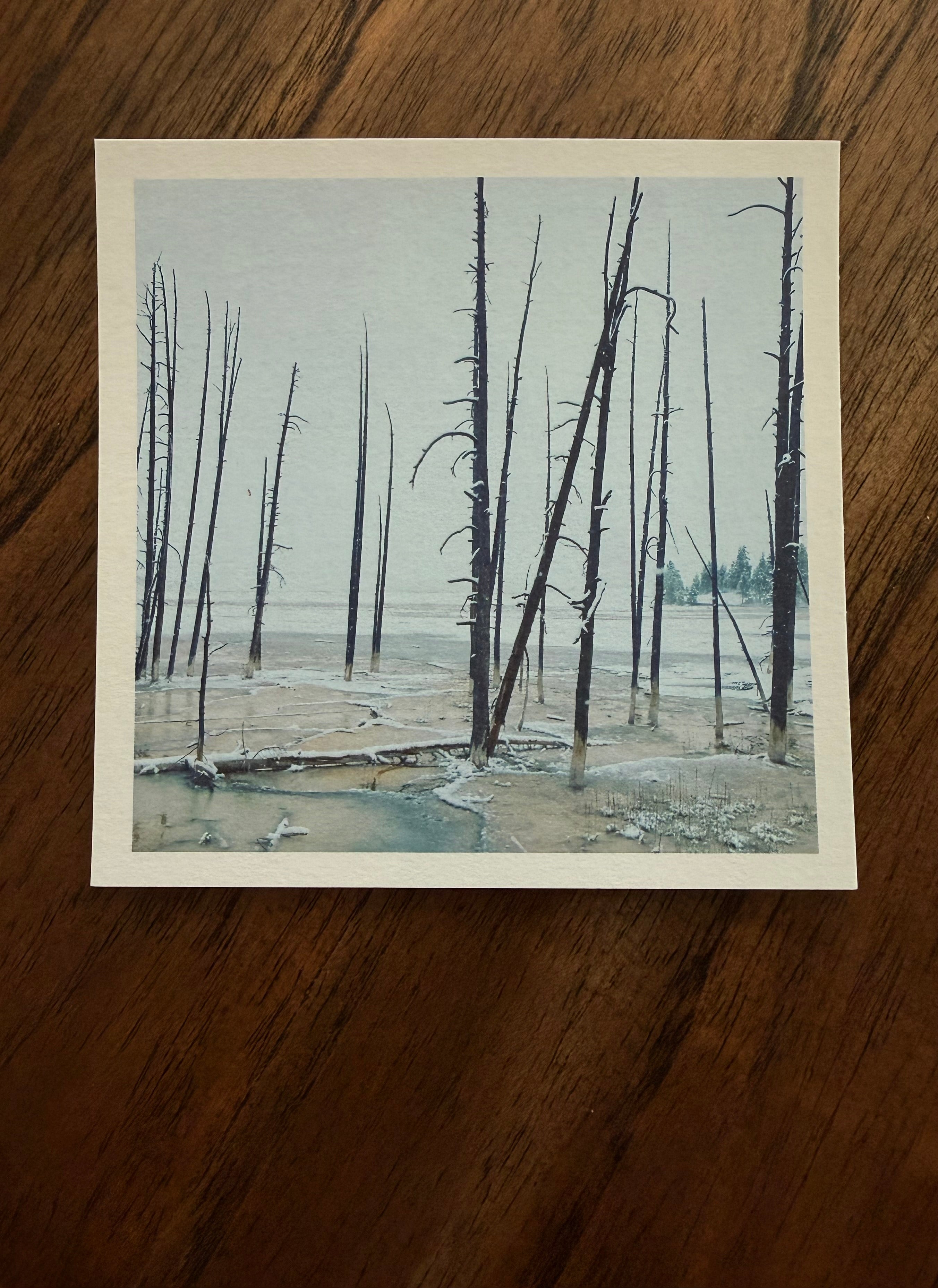 Wildfire Meets Winter