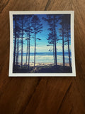 Pines in Sand