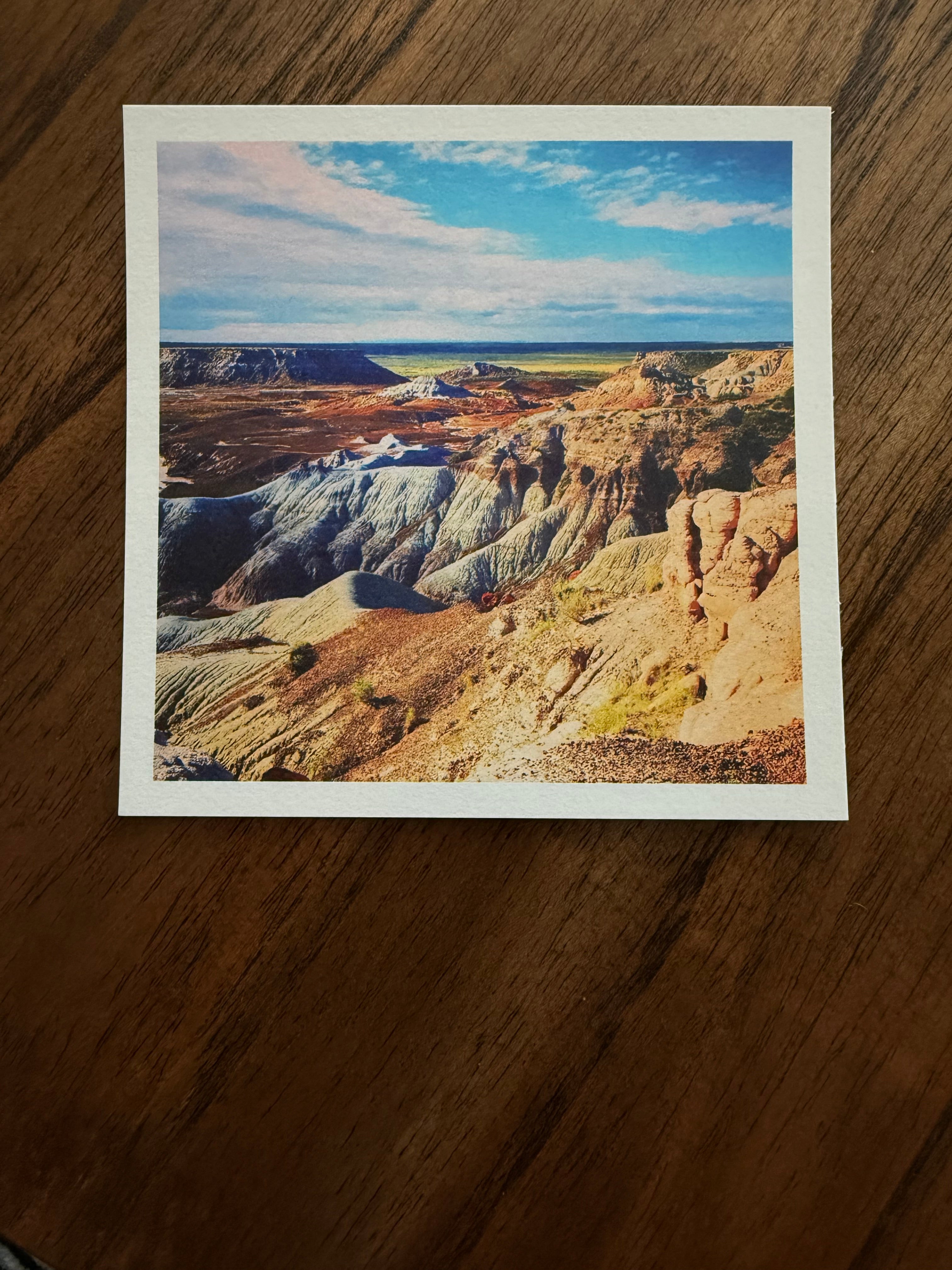 Petrified Forest National Park